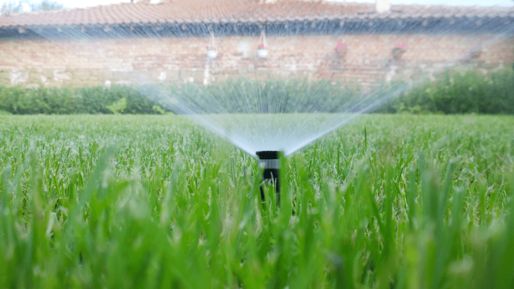 sustainable water pumps